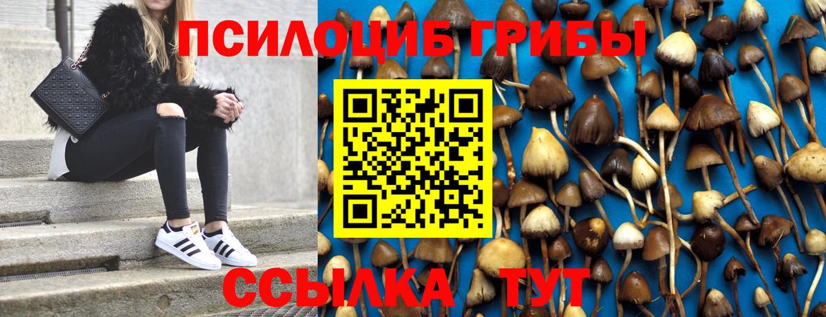 Галлюциногенные грибы MAGIC MUSHROOMS Кострома