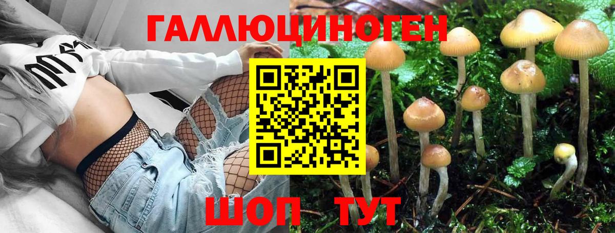 Галлюциногенные грибы мухоморы  Вход с VPN  Псилоцибиновые грибы мицелий  наркотики  Кострома 